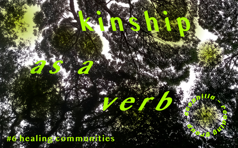 Light green lettering on a photo of dark treetops through which sunlight shines 