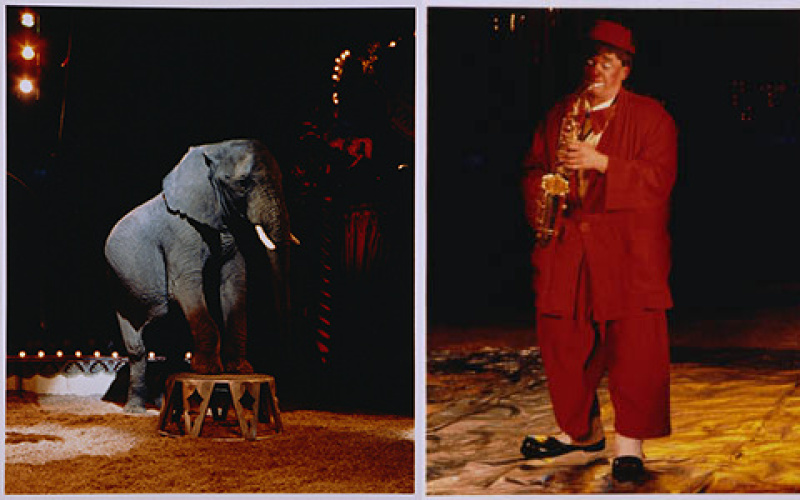 Join the Circus