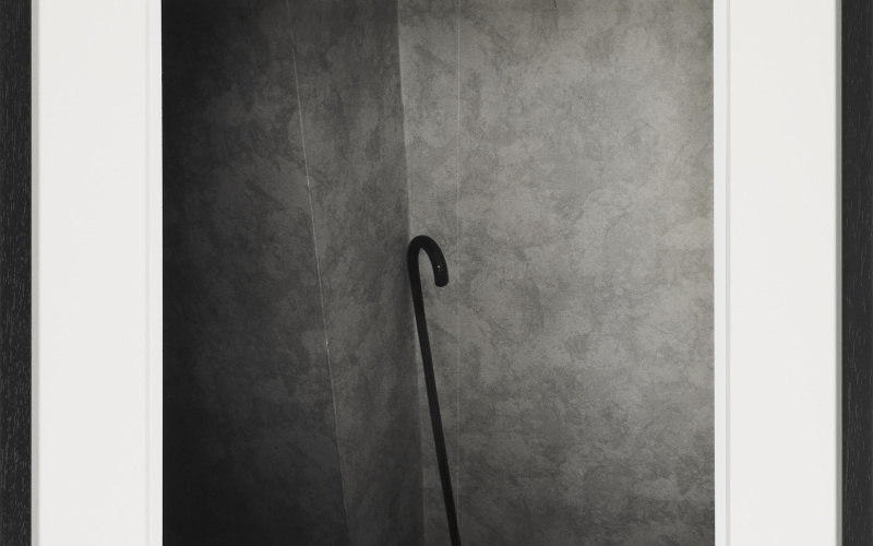 William's Cane