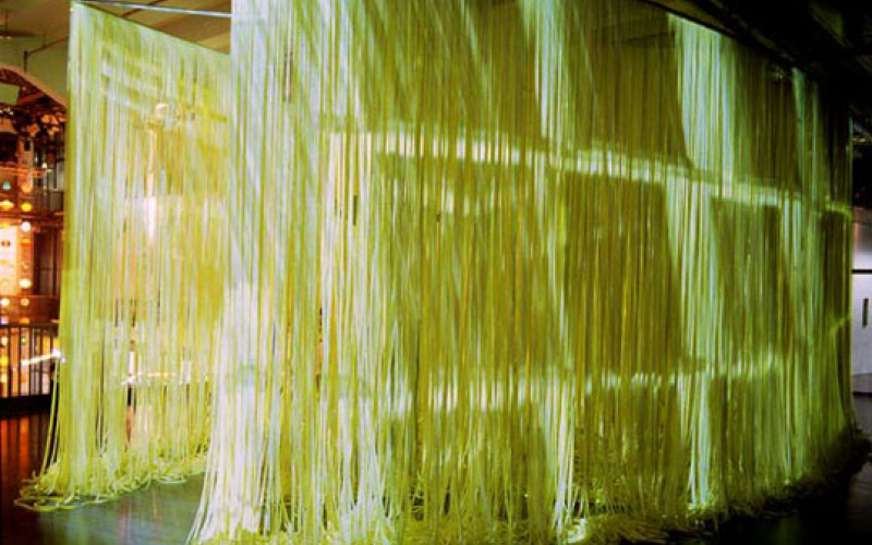 Installationsansicht "Lisa Schmitz: inVerse Bibliothek"