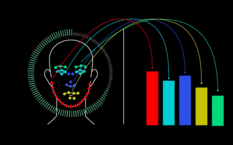 Eine Infografik zeigt welche physiognomische Merkmale abgelesen werden, um Muster zu erkennen die gewissen politischen Überzeugungen zugeordnet werden können.