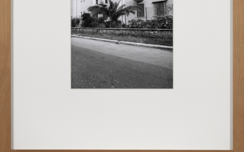 SABAUDIA. G. CANCELOTTI, E. MONTUORI, L. PICCINATO, A. SCALPELLI, 1933-34