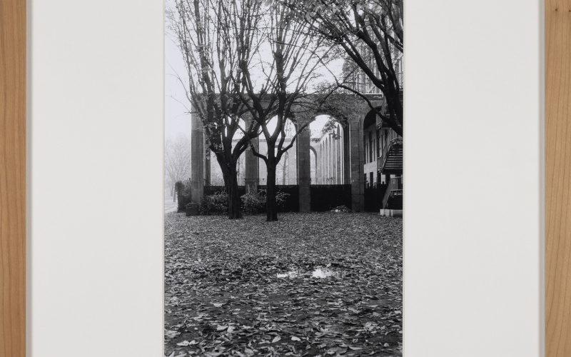 MAILAND. TRIENNALE