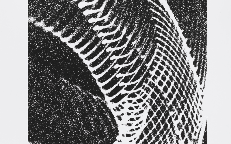 Pendeloszillogram [Alternative Titel: Elektronische Grafik, Analoggraphik]