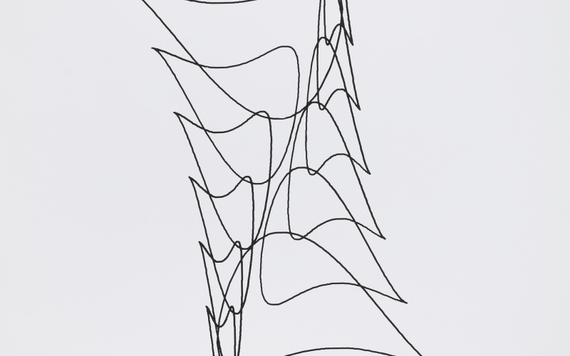 Algebraische Kurven 