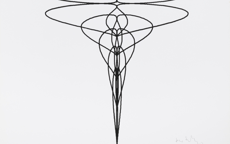 Algebraische Kurven 