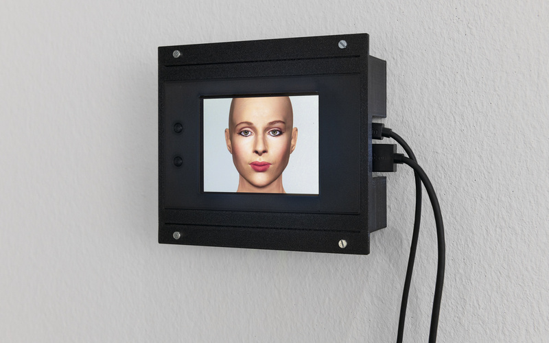 Dream of Beauty 1.1