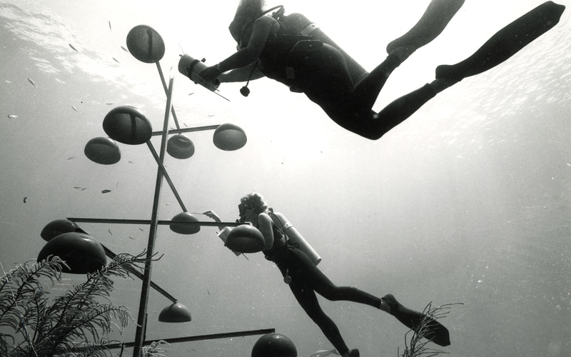 Jürgen Claus, »Female Divers at the Bell Tower«, 1979