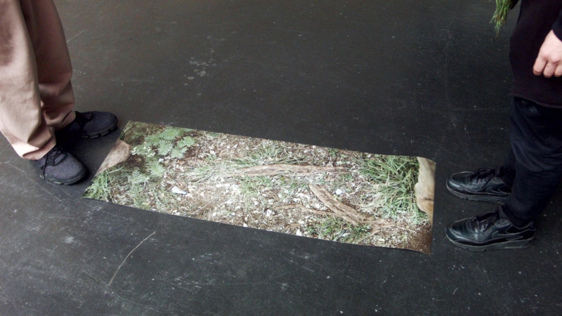 i6812_20_xxx_x_ex_tree3_1080p_10.jpg