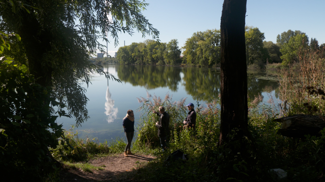 i6917_20_zkm_vh_x_cz_rundgangamknielingersee_v2.00_08_00_23.standbild005.jpg