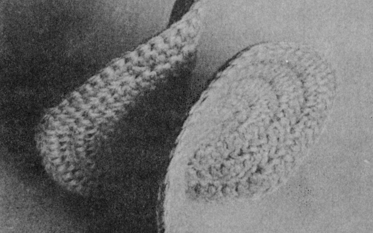 Gehäkelte Riemannsche Fläche