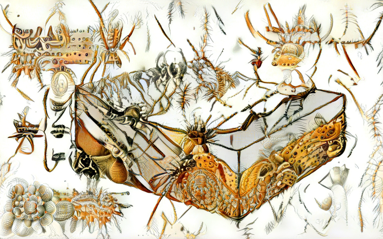 The photo shows a drawing on which a cross section of the soil and the different sediments is shown. The soil layers hide different insects, such as spiders or beetles, after a closer look.  