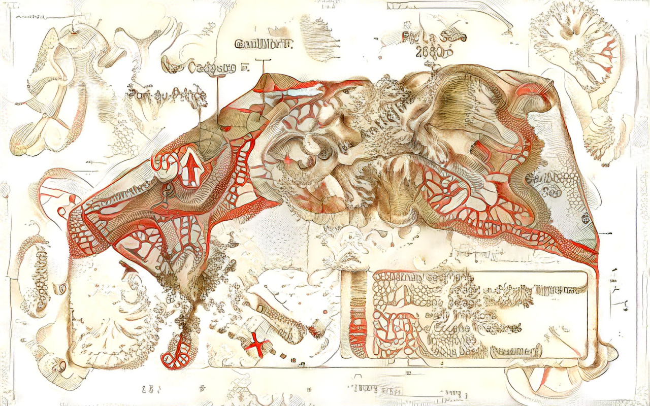 The drawing is animated by an algorithm that shows the cross-section of the ground, but instead of sediments a deep interlocking between animals and their environment.