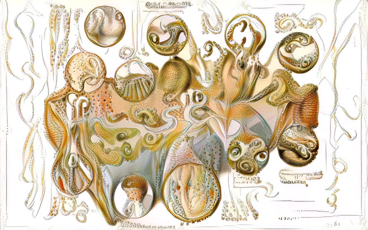 The drawing is animated by an algorithm that shows the cross-section of the ground, but instead of sediments a deep interlocking between animals and their environment.