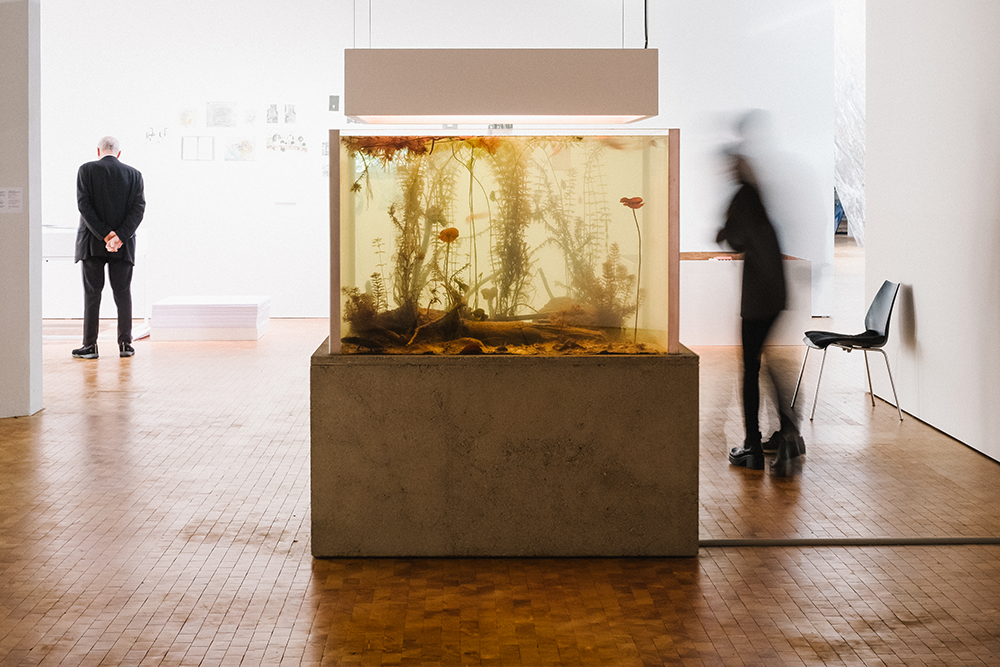 Ein Aquarium in der Ausstellung »Reset Modernity!«