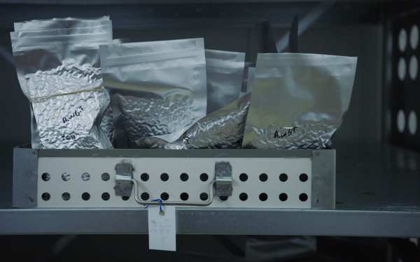 Photo of a metal shelf with a drawer. The drawer is full of silver bags filled with genetic material.