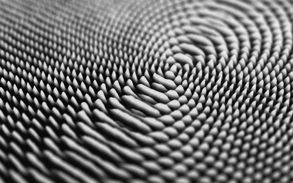 Still aus »Seminconductor«, 2011