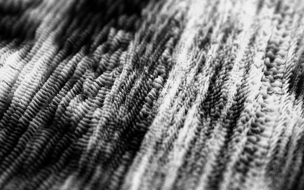 Still aus »Seminconductor«, 2011