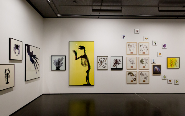 Blick in die Ausstellung »Leibniz' Lager«