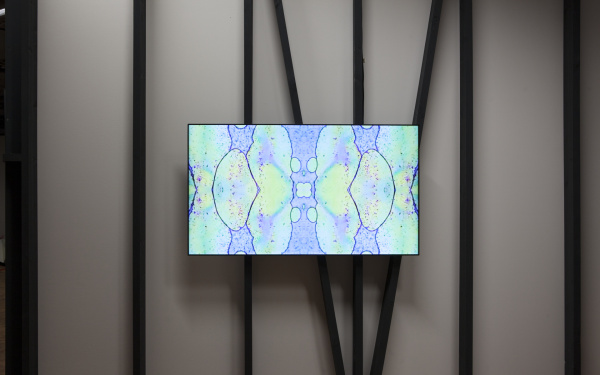 Blick in die Ausstellung  «GLOBALE: Exo-Evolution», 31. Oktober 2015 – 28. Februar 2016, ZKM | Zentrum für Kunst und Medien Karlsruhe