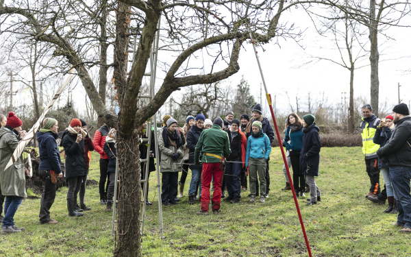 Eine Gruppe von Menschen steht auf einer Wiese neben einem Baum.