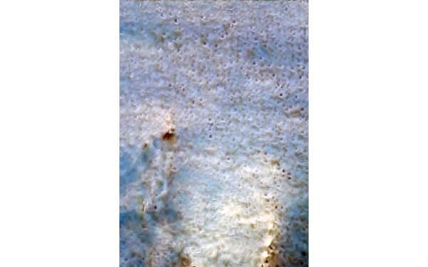 01_sky_mac.jpg