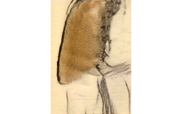 03_white_man_mac