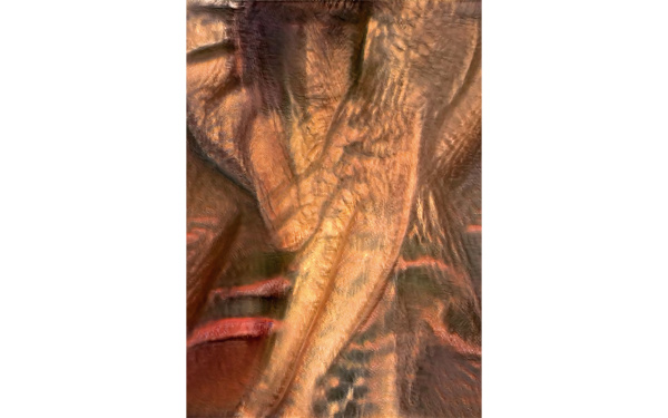05_indigenous_mac