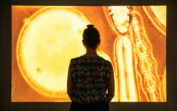 Eine Frau schaut sich das Werk »Entangled Lives: Drifters and Wanderers« von Sonia Mehra Chawla an