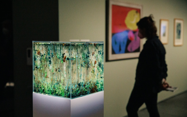 Blick in die Ausstellung »The Beauty of Early Life». Im Vordergrund zu sehen ist das Werk von Agnieszka Kurant »Chemical Garden»