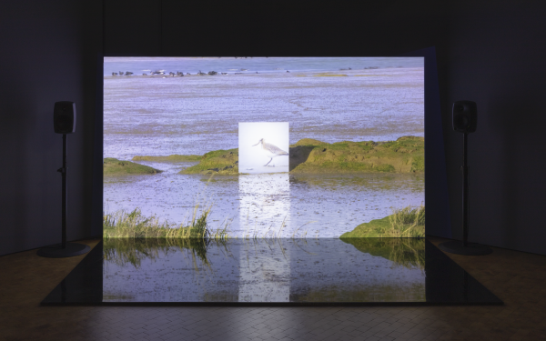 Jake Elwes, »CU SP«, 2019. Auf dem Bild ist ein großer Bildschirm zu sehen, der eine Meereslandschaft zeigt. In der Mitte ist eine Möwe in einem weißen Quadrat zu sehen.