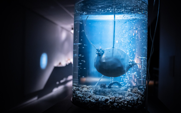 Anna Dumitriu & Alex May, »ArchaeaBot«, 2018. Zu sehen ist die Installation ArchaeaBot.