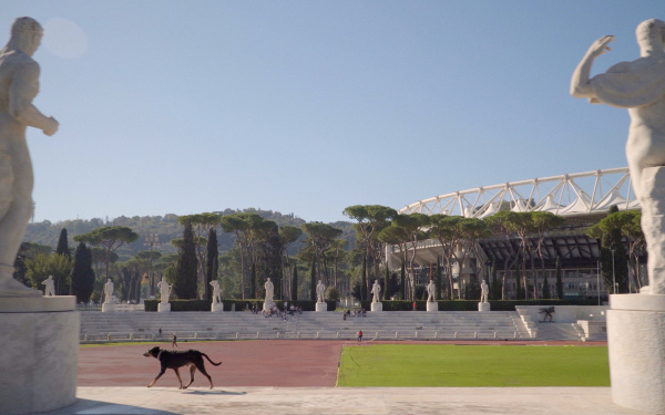 Man sieht einen Hund in dem Stadio Centrale del Tennis in Rom.