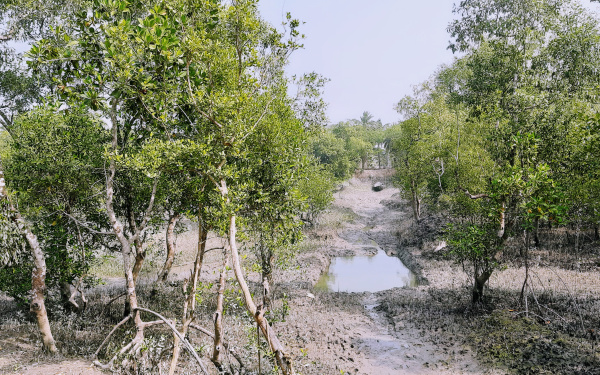 Zu sehen ist eine Landschaft. Bäume befinden sich links und rechts, angeordnet wie eine Allee. In der Mitte ist ein nahezu ausgetrockneter Bach zu sehen. Im Hintergrund liegt ein Fischerboot.
