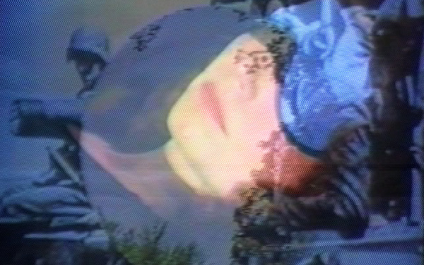 Ulrike Rosenbach, »Schlacht der Bäume«, 1989