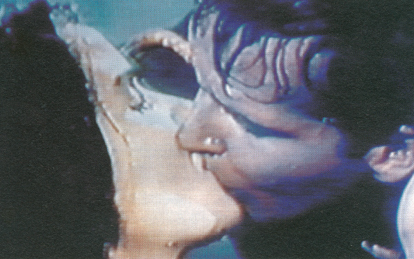 Michael Schirner, Klaus von Bruch, »1000 Küsse«, 1983