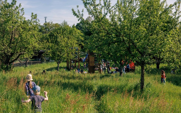 Personen auf einer grünen Streuobstwiese
