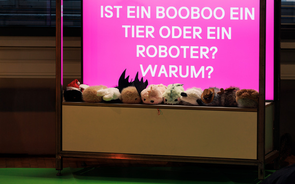 Booboos, aufgereiht vor pinkem Hintergrund.