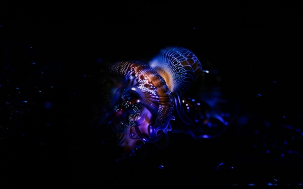 Bright screen in a dark room