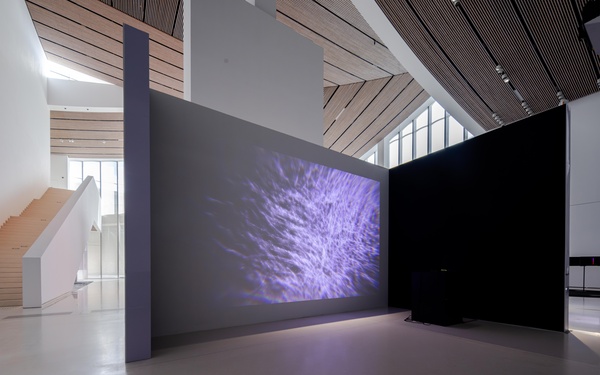 Artwork on screen