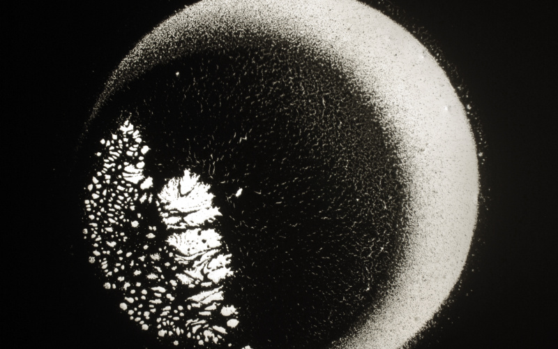 Aldo Tambellini, »Study of Internal Shapes and Outward Manifestations« - Neutro 