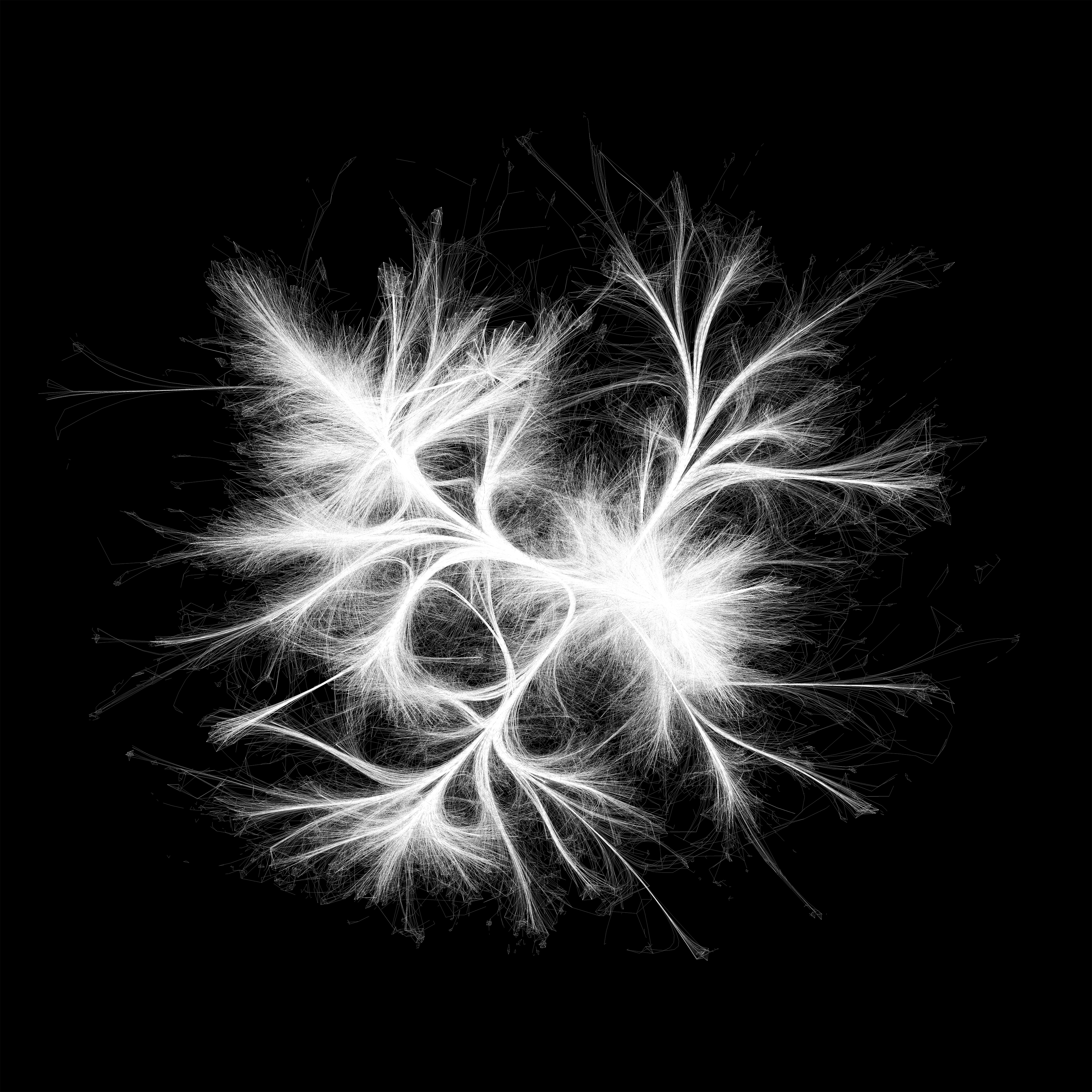 A visualisation of a network of white strands on a black background that fray outwards