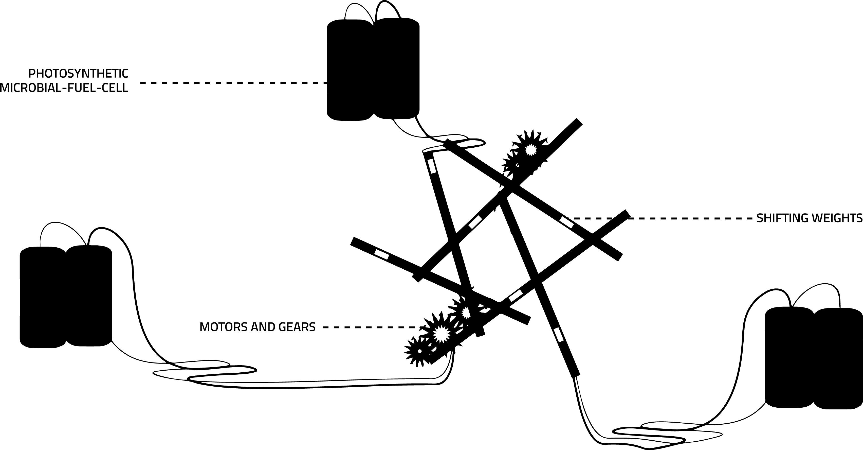 Die Installation besteht aus drei mit Rhodobacter sphaeroides-Bakterien betriebenen Batterien, sechs miteinander verspannten Röhren und Verbindungsdrähten. Die Röhrenkonstruktion stellt ein Tragwerkssystem (Tensegrity) dar.