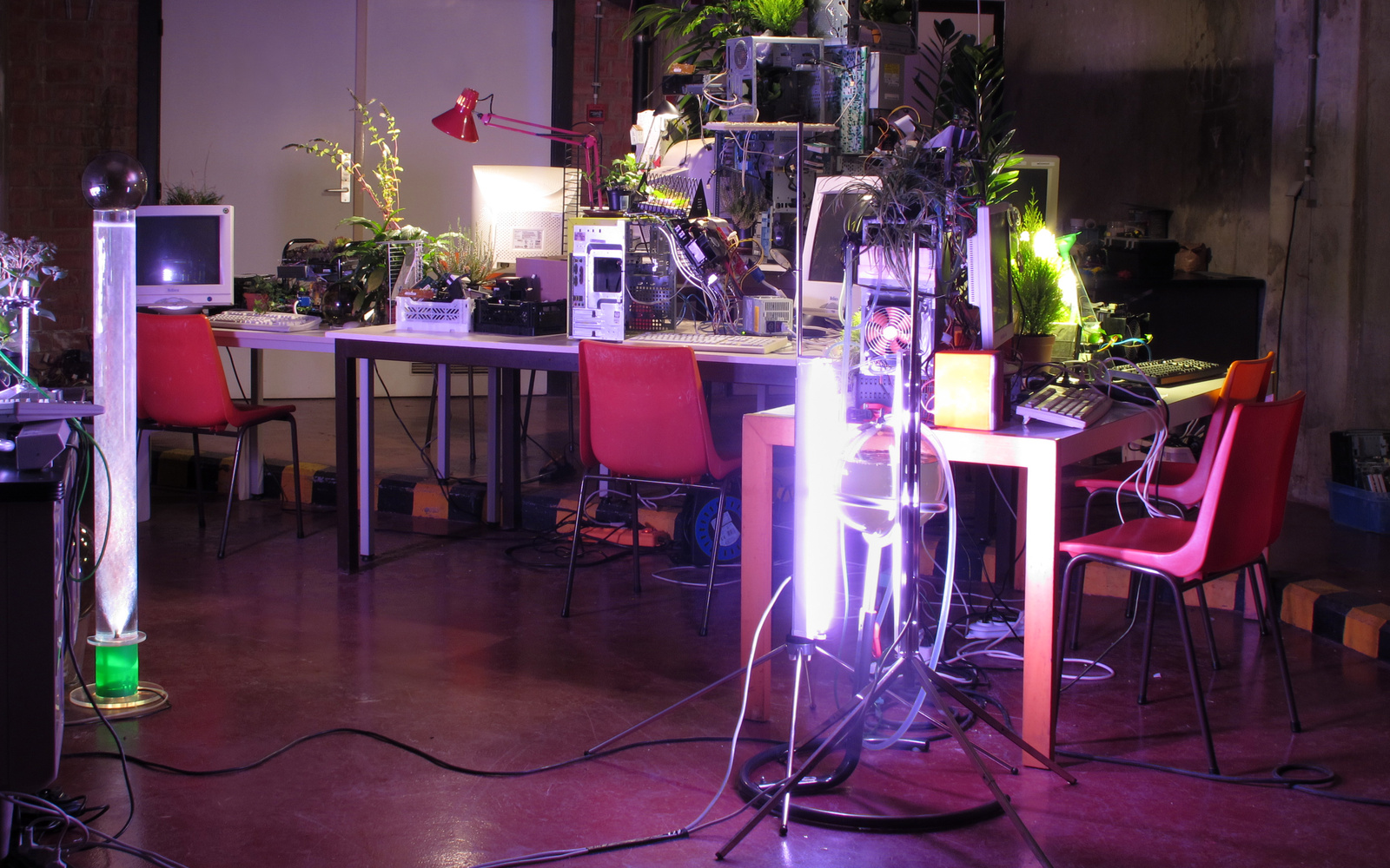 There is a hodge-podge of plants computers, screens and desklamps on a table.