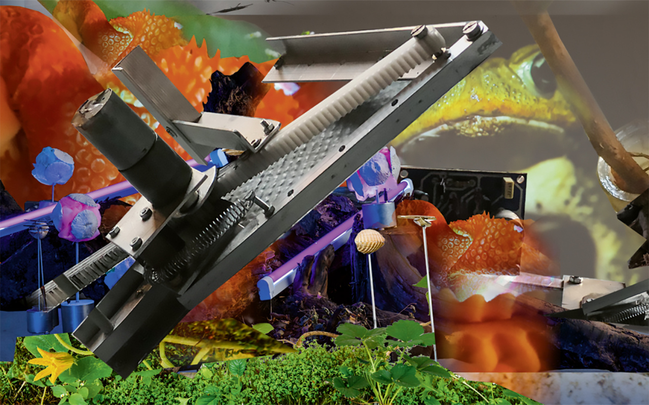 (A)I Tell You, You Tell Me ZKM