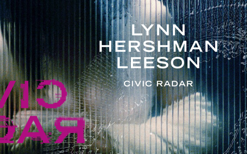 Lynn Hershman Leeson. Civic Radar (Sammlung Falckenberg, Hamburg) ZKM