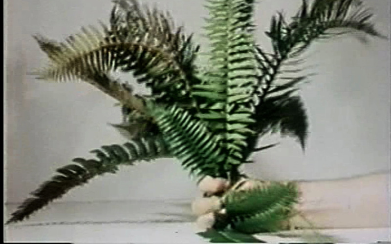 Werk - Compression-Fern (Hand) - s040804.jpg