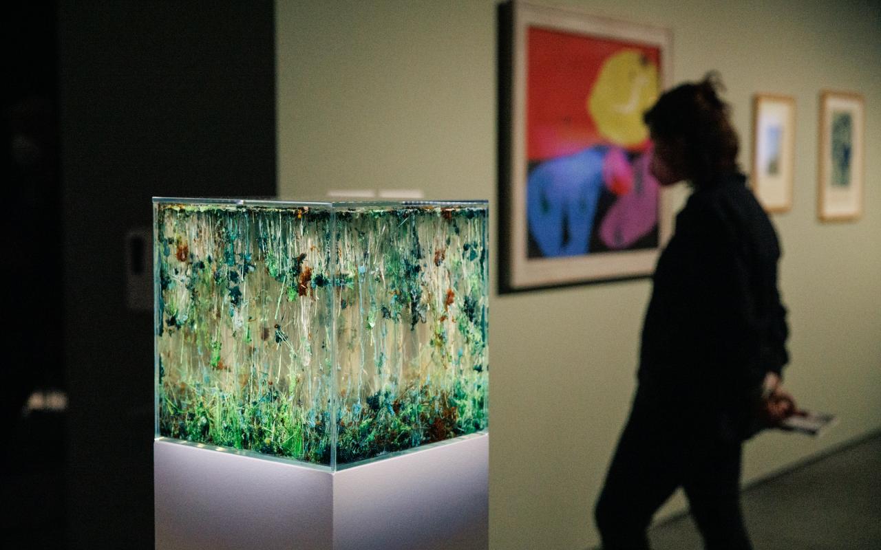 View of the exhibition »The Beauty of Early Life«. In the foreground you can see the work of Agnieszka Kurant »Chemical Garden«.