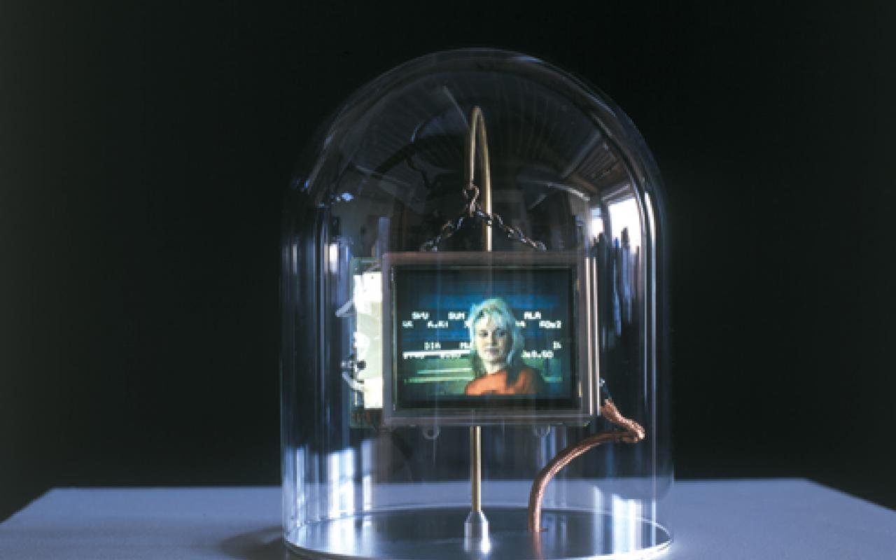 Lynn Hershman Leeson, Installationsansicht von Synthia,  2000–2002