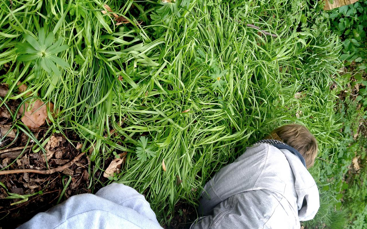 Auf einer grünen Wiese kniet sich eine Person mit ihrem Gesicht auf dem Boden hin.